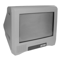 Preview: Sony Trinitron RM-W101