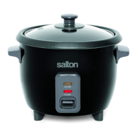 Preview: Salton RC1653
