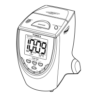 Preview: Timex T313