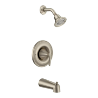 Preview: Moen 10600