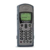 Preview: Iridium 9500