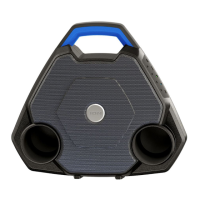 Preview: ION Wave Rider Max