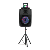Preview: Pyle PSUFM1280B