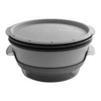 Preview: Tupperware SmartSteamer