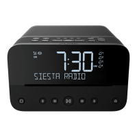 Preview: PURE Siesta Home