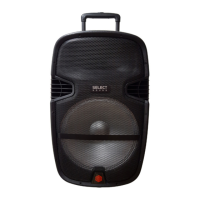 Preview: Select Sound BT1200