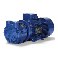 Preview: Speck pumpen V Series