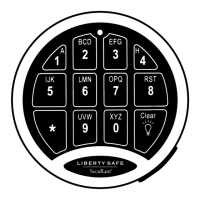 Preview: Liberty 6700