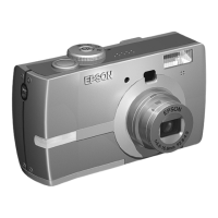 Preview: Epson L-300