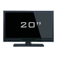 Preview: Teleco TFV20D
