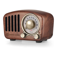 Preview: GREADIO R-919