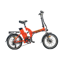Preview: Green Bike USA GB5