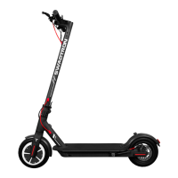 Preview: SWAGTRON SWAGGER 5 DASH LITE