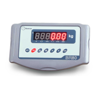 Preview: Baxtran BR80