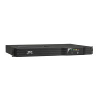 Preview: Tripp Lite 1000 VA