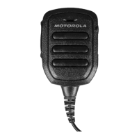 Preview: Motorola PMMN4125