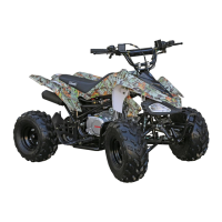 Preview: Coleman POWERSPORTS AT125-B