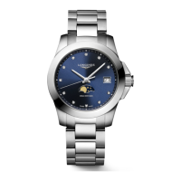 Preview: Longines L602