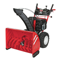 Preview: Troy-Bilt STORM Series