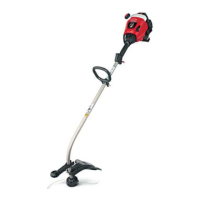 Preview: Troy-Bilt TB10CS