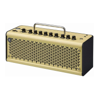Preview: Yamaha THR10II