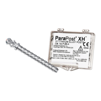 Preview: Coltene ParaPost X Series