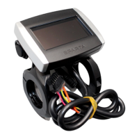 Preview: Batavus E-Motion Smart