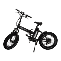 Preview: GoPowerBike GoExpress