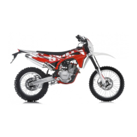Preview: SWM RS 300 R 2017