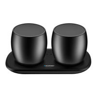 Preview: Blaupunkt BLP3310-001