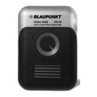 Preview: Blaupunkt ODsb 5000