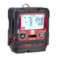 Preview: RKI Instruments GX-3R