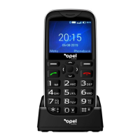 Preview: Opel mobile BigButton X