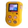 Gas Detectors Logo