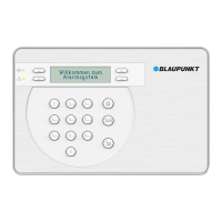 Preview: Blaupunkt SA 2900R