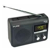 Preview: PURE ONE Flow