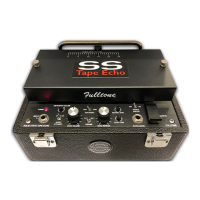 Preview: Fulltone Solid State Tape Echo