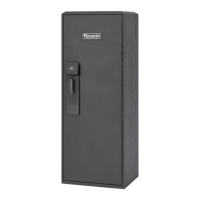 Preview: Hornady RAPiD SAFE READY VAULT