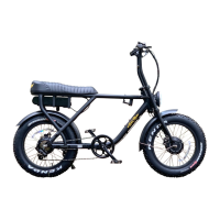 Preview: Ariel Rider D-Class