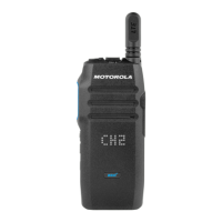 Preview: Motorola WAVE TLK 100i