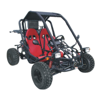 Preview: Dazon Raider Max 250S