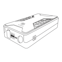 Preview: Roav R3130