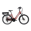 Bicycle Logo