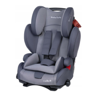Preview: BabySafe Collie