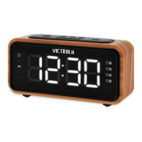 Preview: Victrola VC-250