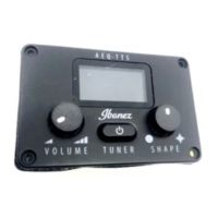 Preview: Ibanez AEQ-TTS