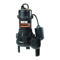 Preview: Wayne RPP50
