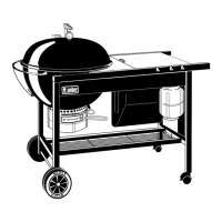 Preview: Weber Burner
