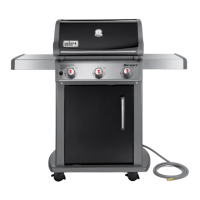 Preview: Weber Spirit 210