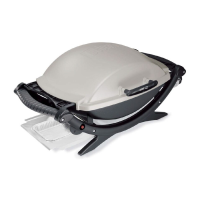 Preview: Weber 100